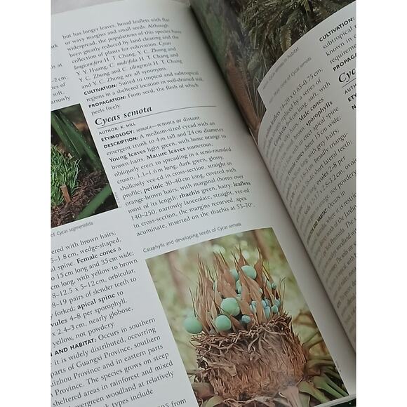 Cycads of the World Ancient Plants in Today's Landscape David Jones Hardcover - Picture 15 of 16